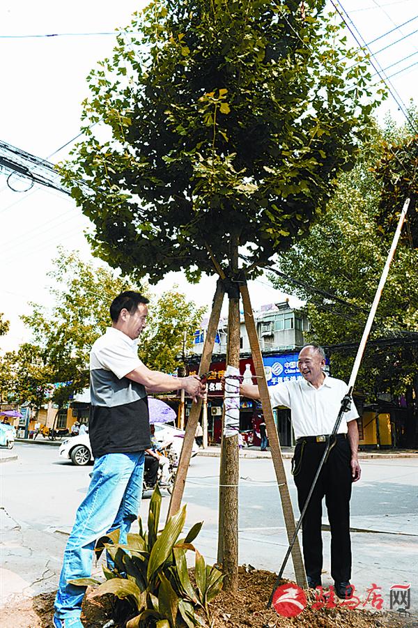 luf16071422.jpg
