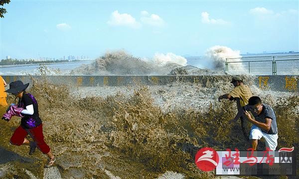 yangf160878.jpg