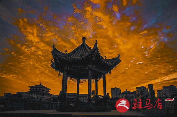 yangf1608119.jpg
