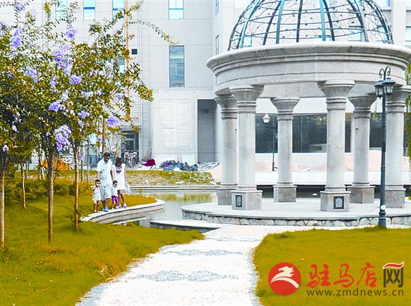 luf1608312.jpg