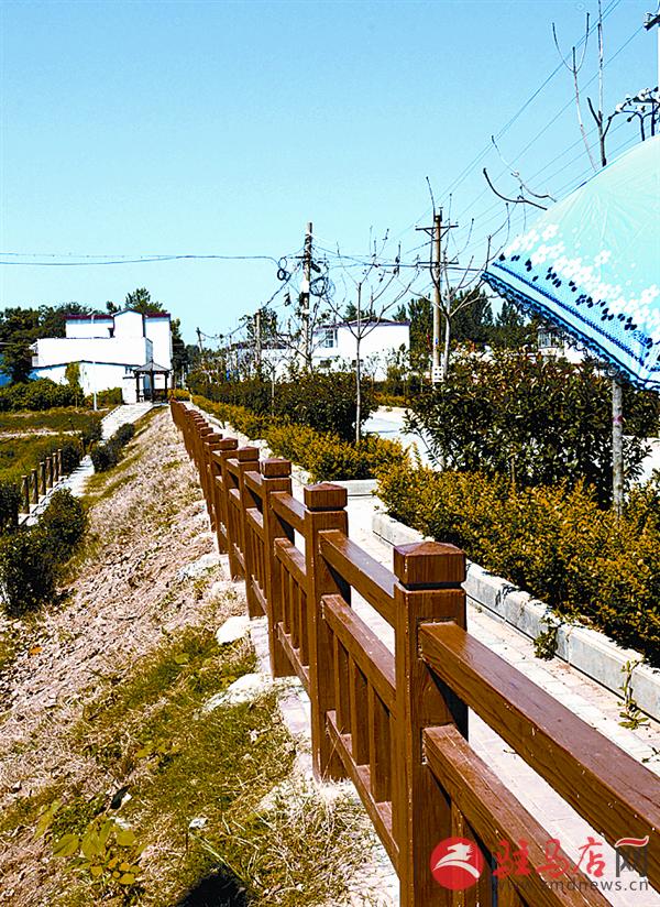 luf160940.jpg