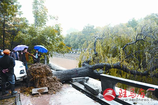 wangzh161070.jpg