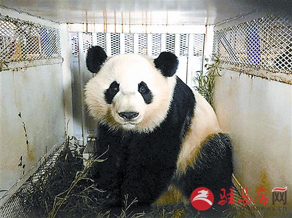 zhangxj161112.jpg