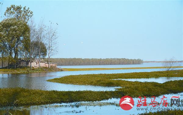 wangzh161154.jpg