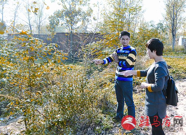yaohf161155.jpg