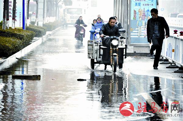 wangzh1611125.jpg