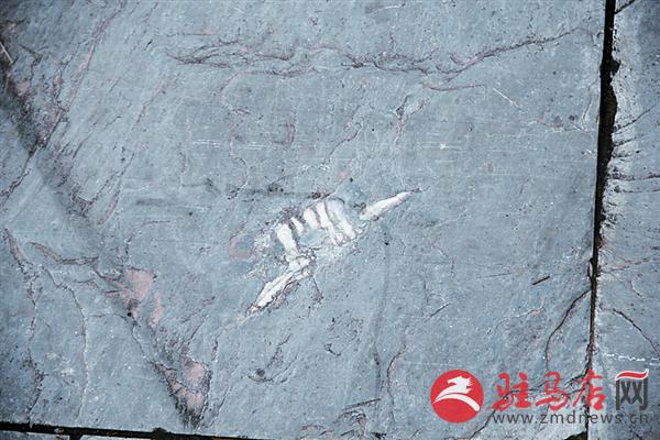 wangzh1611171.jpg