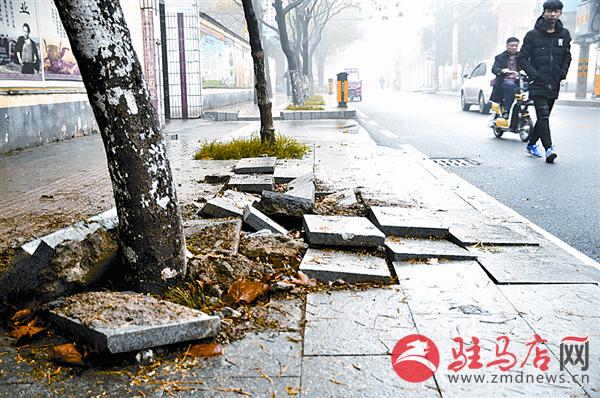 wangzh1611165.jpg