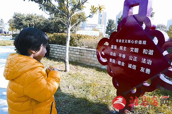 yangf1611132.jpg