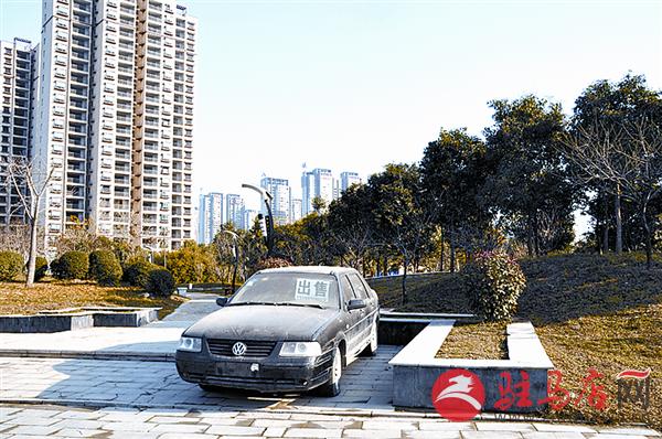 wangzh1611194.jpg