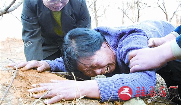 zhangxj16121.jpg