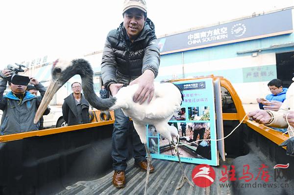 yangf16125.jpg