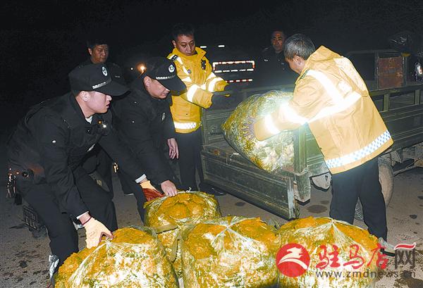 wangzh1612136.jpg