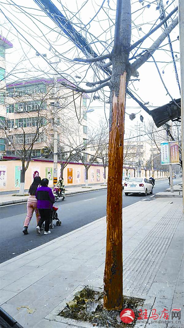 wangzh1612135.jpg