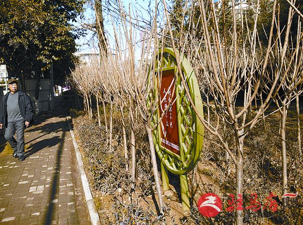 yaohf1612121.jpg