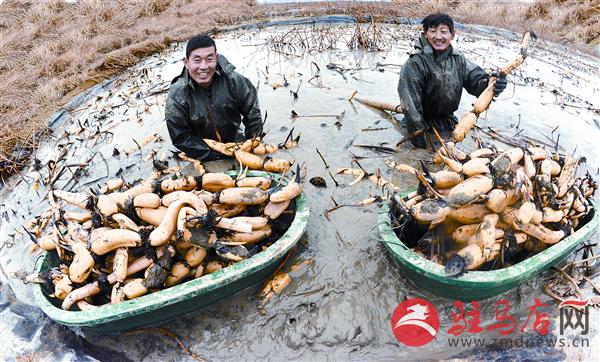 zhaol161281.jpg