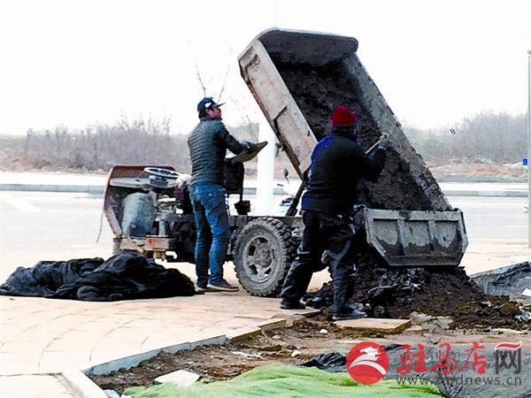 wangzh170139.jpg
