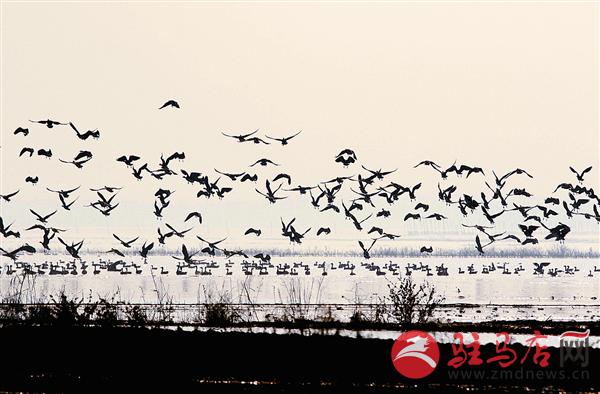 zhaol170159.jpg