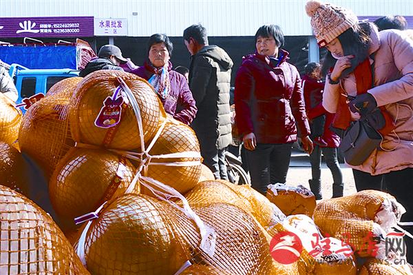 wangzh1701117.jpg