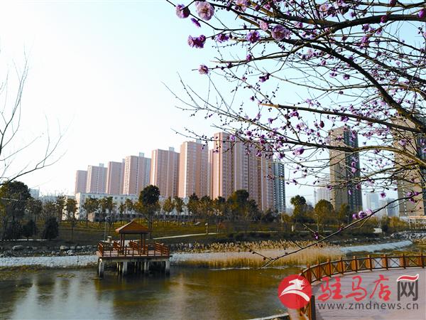 yaohf17011121.jpg