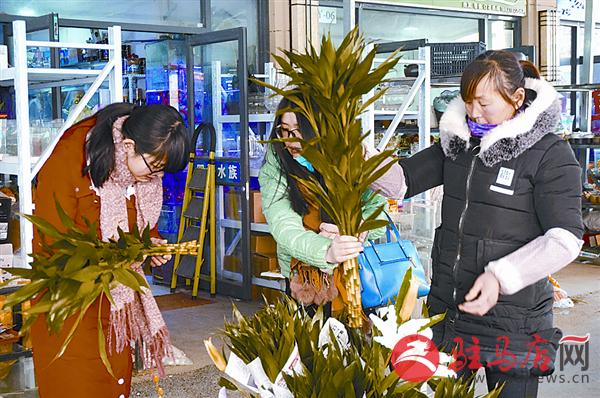 wangzh1701144.jpg