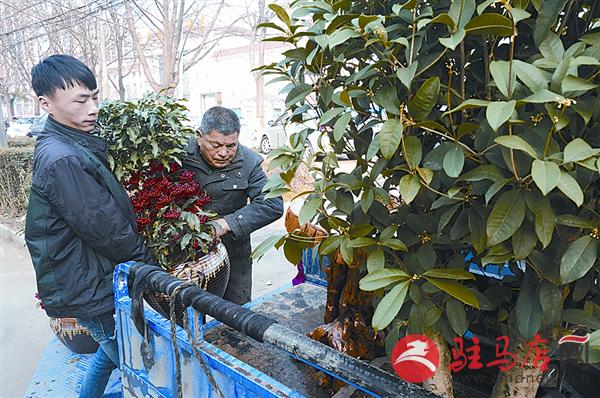 wangzh1701148.jpg