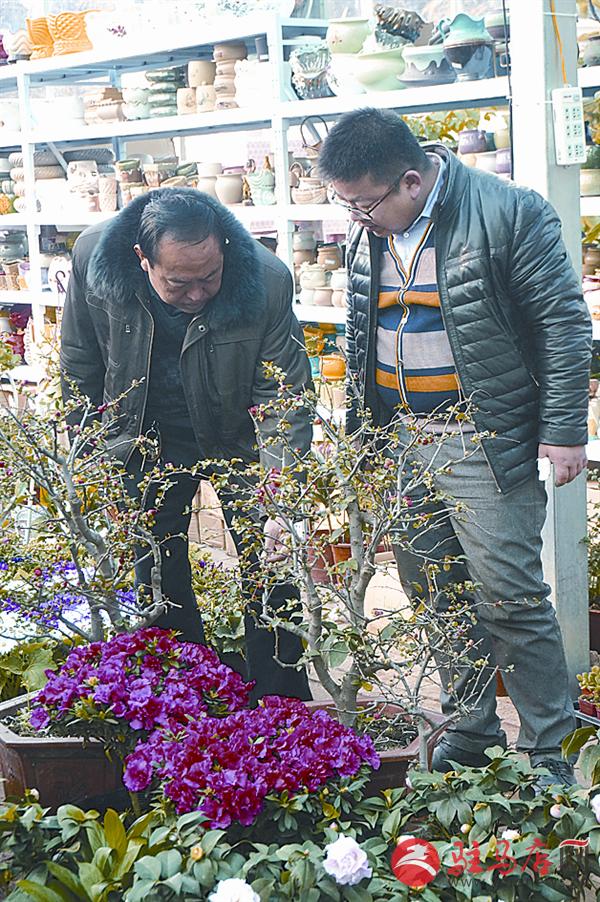 wangzh1701146.jpg