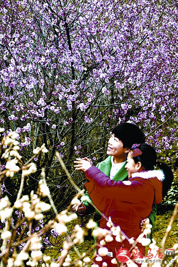 zhaol17029.jpg