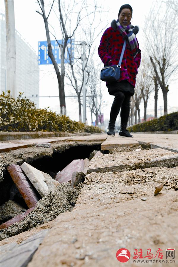 wangzh170231.jpg