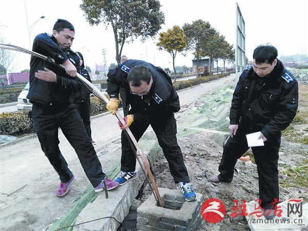 wangzh1702196.jpg