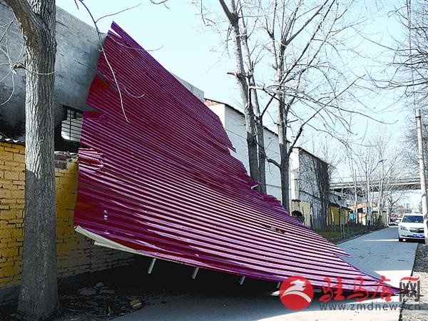 wangzh170313.jpg