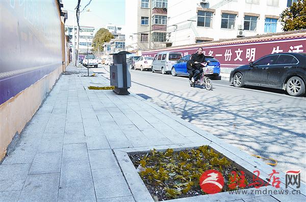 yaohf170310.jpg