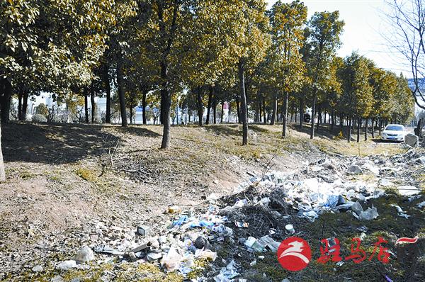 wangzh170362.jpg