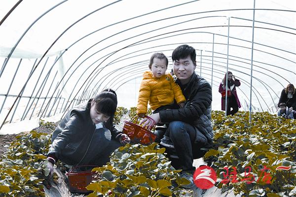 guojg1703113.jpg