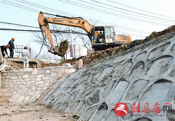 wangzh1703128.jpg