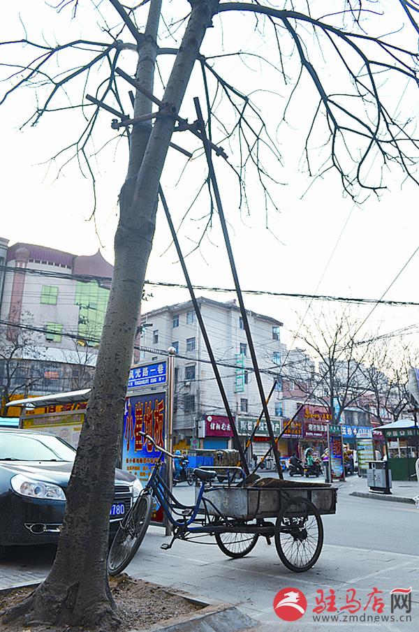 yaohf1703107.jpg
