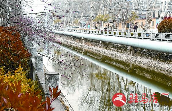 wangzh1703136.jpg