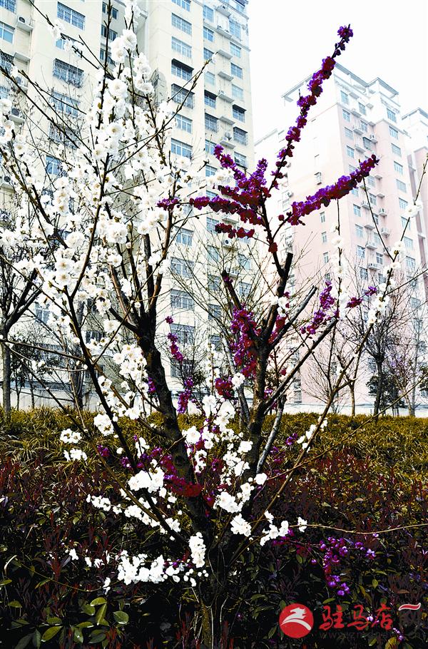 wangzh1703151.jpg