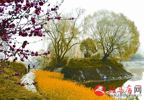 wangzh1703190.jpg