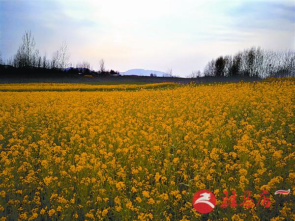 hxy1703137.jpg