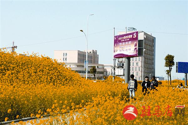 hxy1703151.jpg