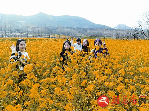 yaohf1703131.jpg
