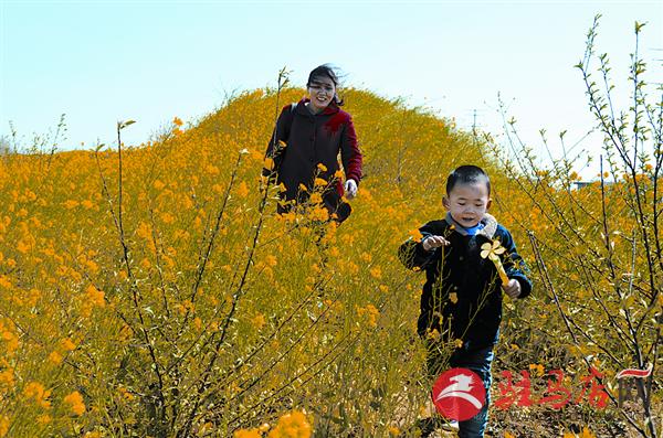 yaohf1703135.jpg