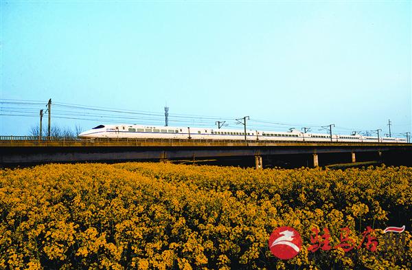 zhaol170359.jpg