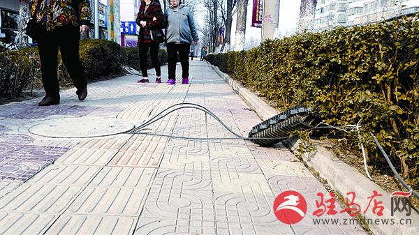 wangzh1703209.jpg