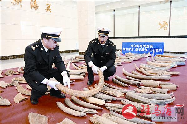 zhangxj170410.jpg