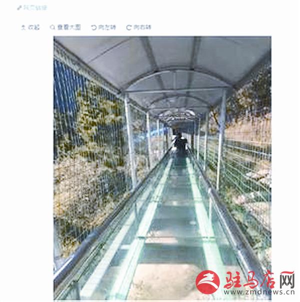 zhangxj17047.jpg