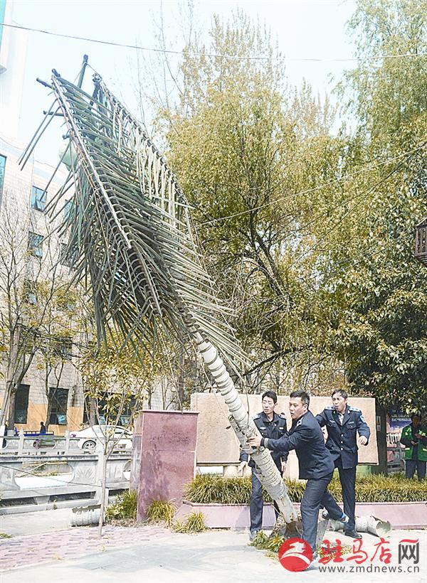 wangzh170445.jpg