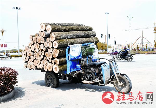wangzh170463.jpg