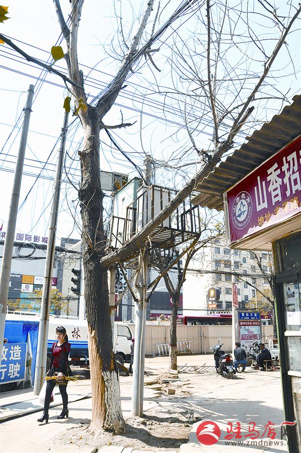 wangzh170494.jpg
